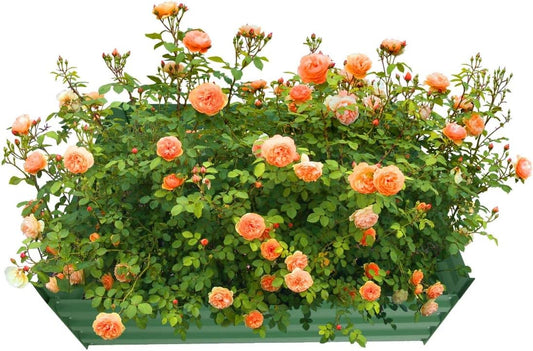 4x4x1ft Metal Raised Garden Bed Kit，Galvanized Garden Bed Box for Vegetables, Flowers, Herbs, and Succulents,120 Gallon Capacity - Green