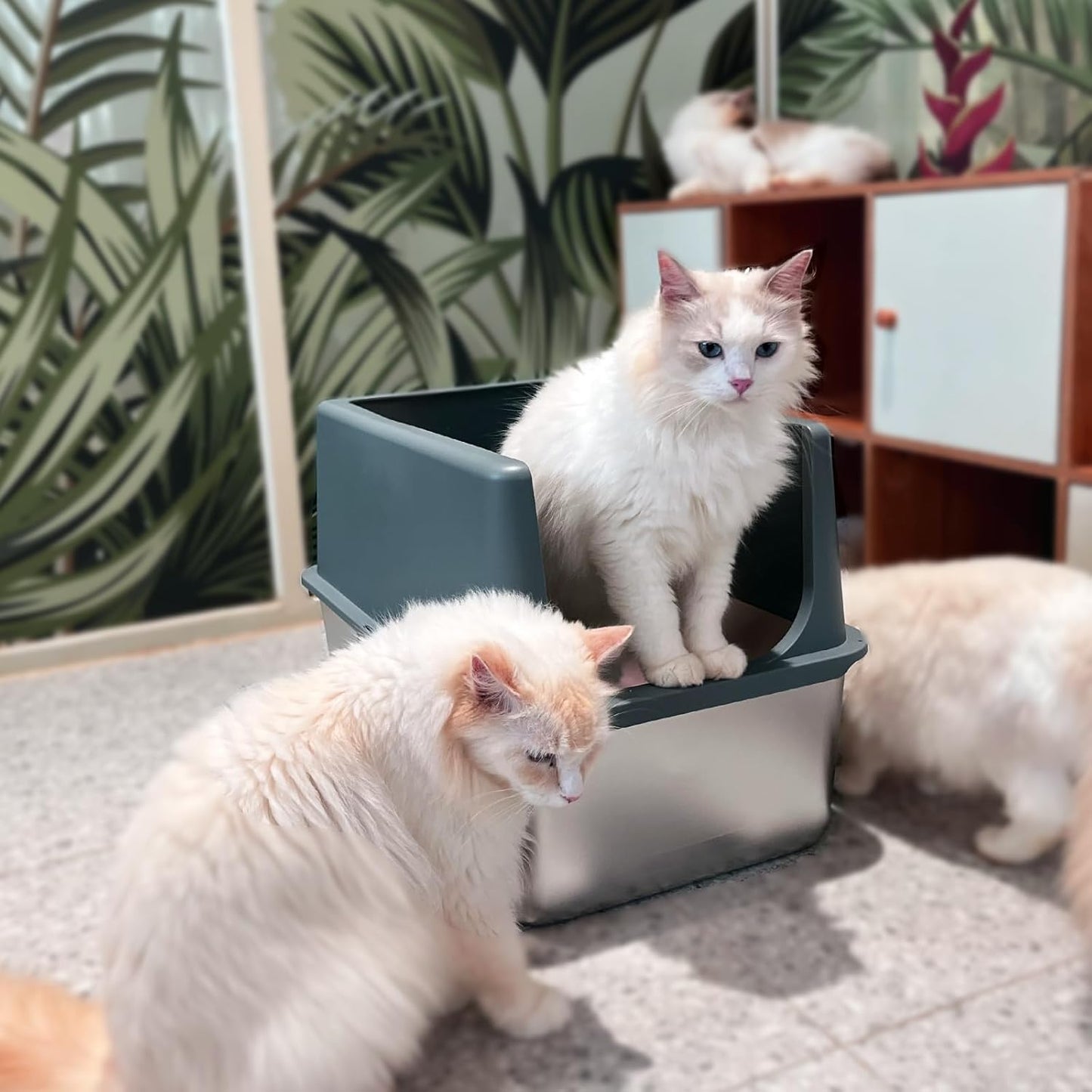 LIHONG Stainless Steel Litter Box with Lid, XL Metal Cat Box for Indoor Cats, Enclosure Cat Litter Pan for Large Cats, Non-Sticky Large Kitty Litter Box, Anti-Leakage, 23.5" X 15.5" X 16"