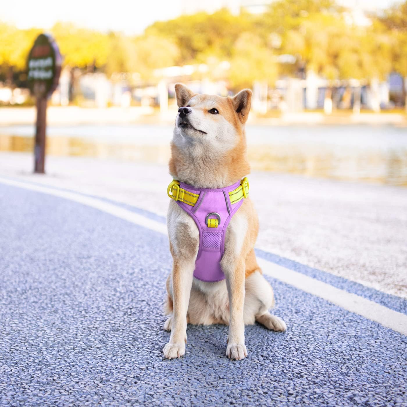 PHOEPET No Pull Dog Harness, Unique Colors Reflective Adjustable Dog Vest, with Soft Training Handle Metal Clips for Small Medium Large Dogs (Baby Purple Base & Yellow Straps,XL)