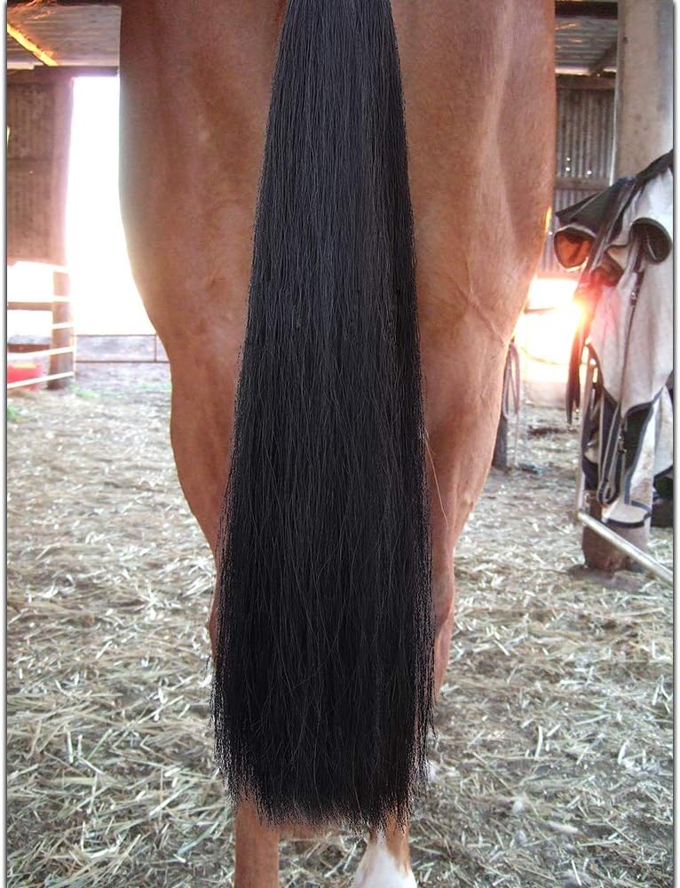 Horse Tail Extensions with Braided Horsehair Loop, Blunt Cut Bottom, 28-30 inches Long and 3/8 lb Weight