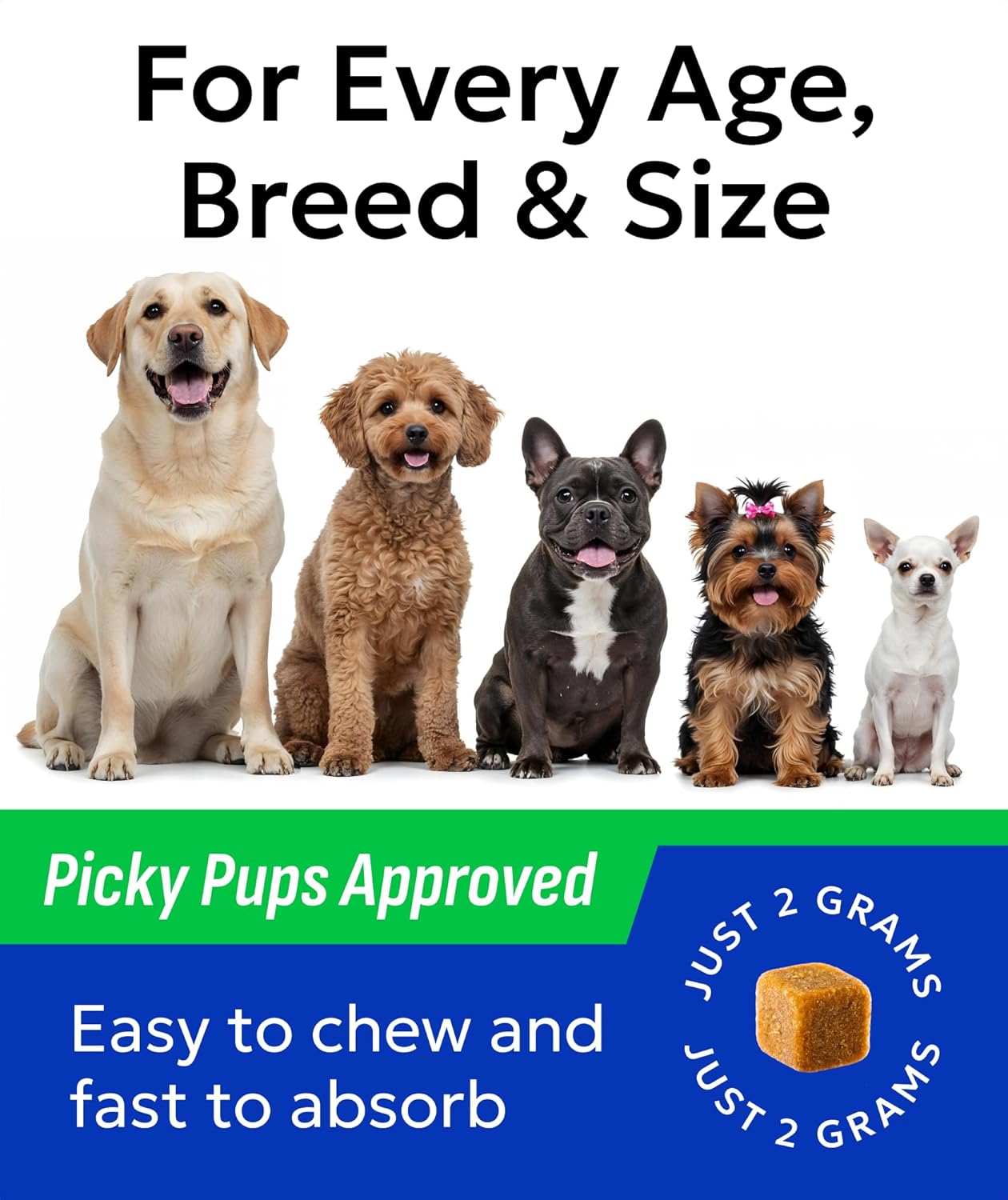 BARK&SPARK Dog Probiotics for Digestive Health w/Enzymes - Diarrhea Gas Treatment Upset Stomach Relief - Allergy & Itchy Skin - Pet Probiotics for Dogs - Digestion Supplement Treat (120Ct Chicken)