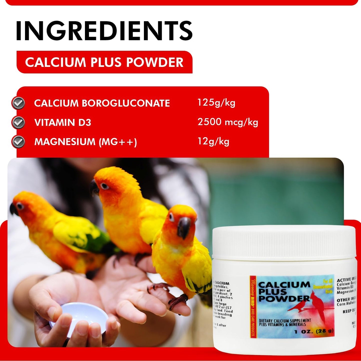 Morning Bird Calcium Plus Powder for Birds 1 oz – Calcium Carbonate Powder with Magnesium Glycinate & Vitamin D – Bone Strength & Immune Support Supplement – Calcium Formula for All Bird Sizes