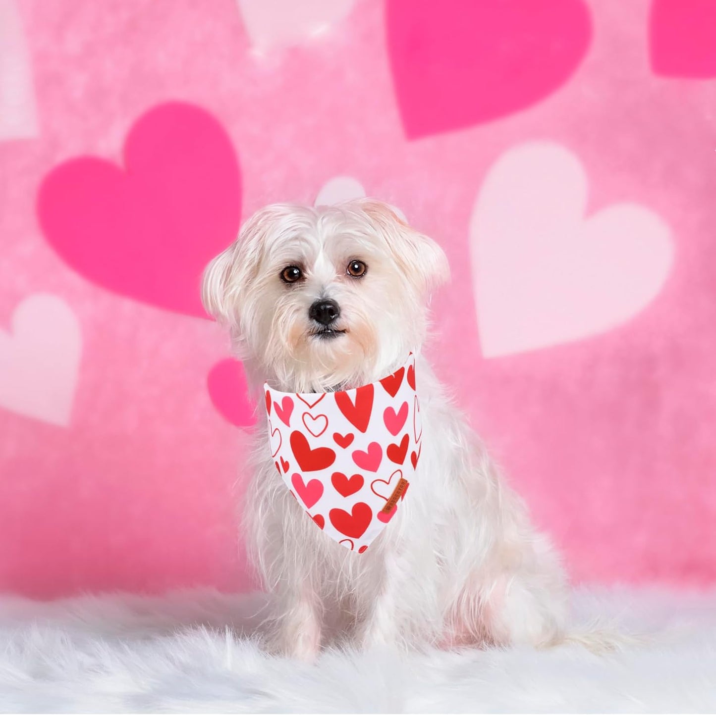 ADOGGYGO Valentine Dog Bandanas, Red Pink Heart Pet Scarf, Multi Size Offered, White Red Valentine Bandana for Small Dogs (Small)