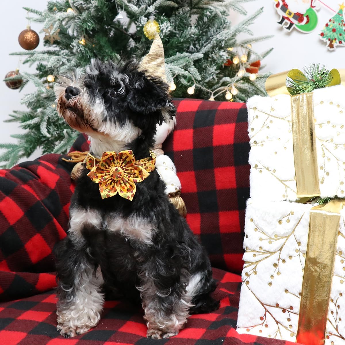 Lionet Paws Thanksgiving Day Dog Collar with Flower, Dogs Flower Collar with Metal Buckle for Dogs and Cats, Adjustable Comfortable Dog Collars Girl, S, Neck 10-16 in