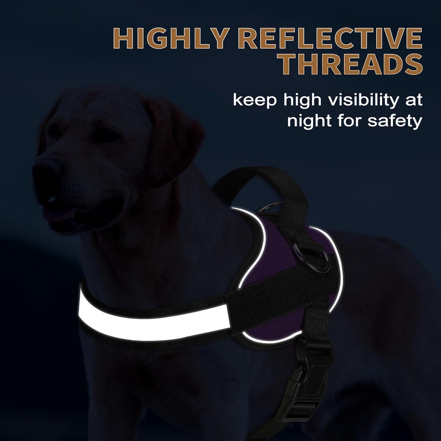 Haapaw Essential Dog Harness, No Pull Pet Vest with 3 Leash Clips, No Choke, Reflective, Adjustable and Padded, for Easy Walking and Training for Large Dogs(XL, Purple)