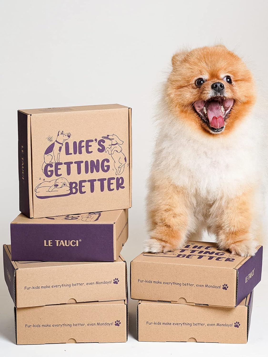 LE TAUCI Ceramic Slow Feeder Dog Bowls Small Breed, 0.6 Cups Dog Food Dish for Fast Eaters, Puzzle Bowl for Small Dogs and Cats,Vortex Blue