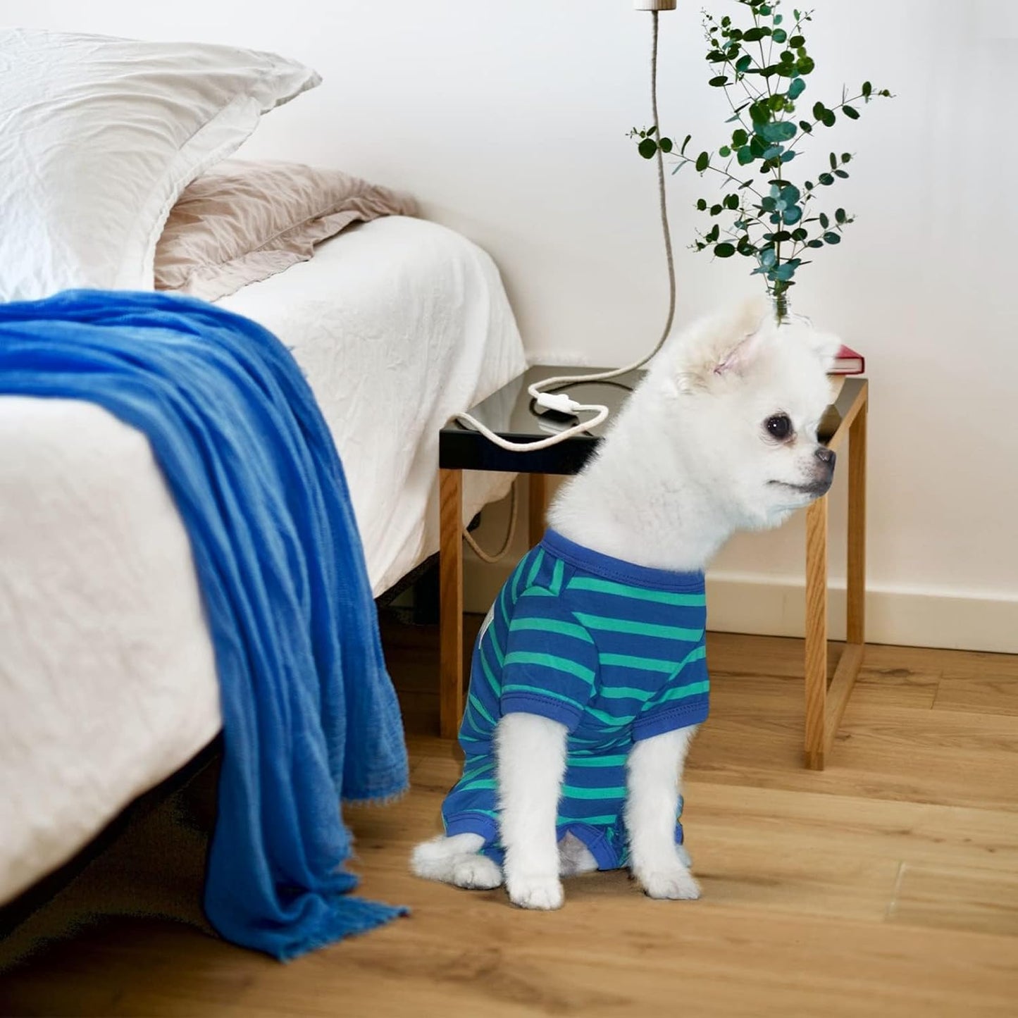 TONY HOBY Dog Pajamas for Female/Male, Dog Jumpsuit with Stripes for Small Medium Dogs, Soft and Comfortable 4 Legged Pajamas Dogs Clothes (Blue&Green, Boy, M)