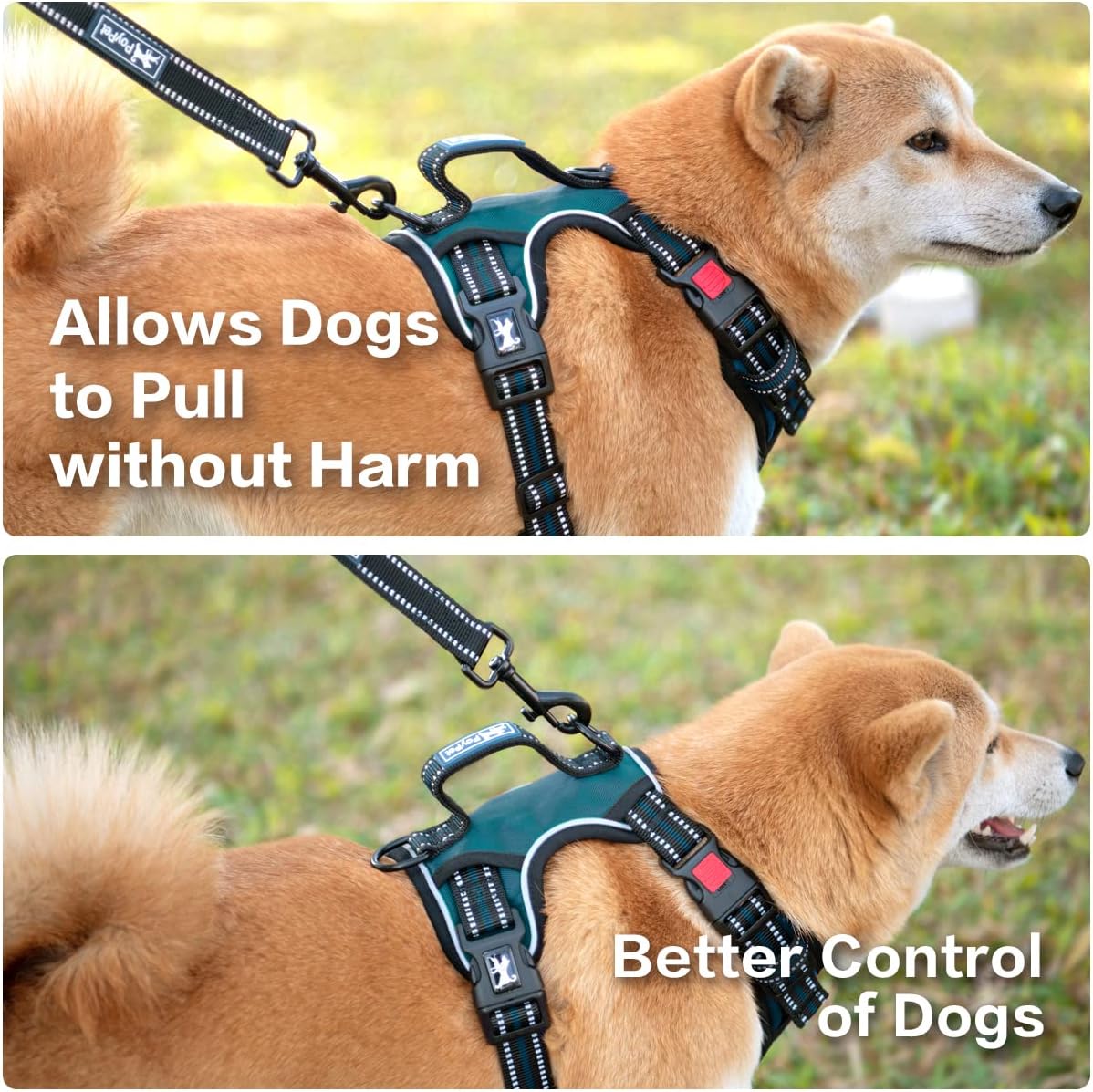 PoyPet No Pull Dog Harness, No Choke Front Clip Reflective Dog Vest with Soft Padded Vertical Handle, 3 Leash Attachments for Small Medium Large Dogs (Tumalo Teal,S)