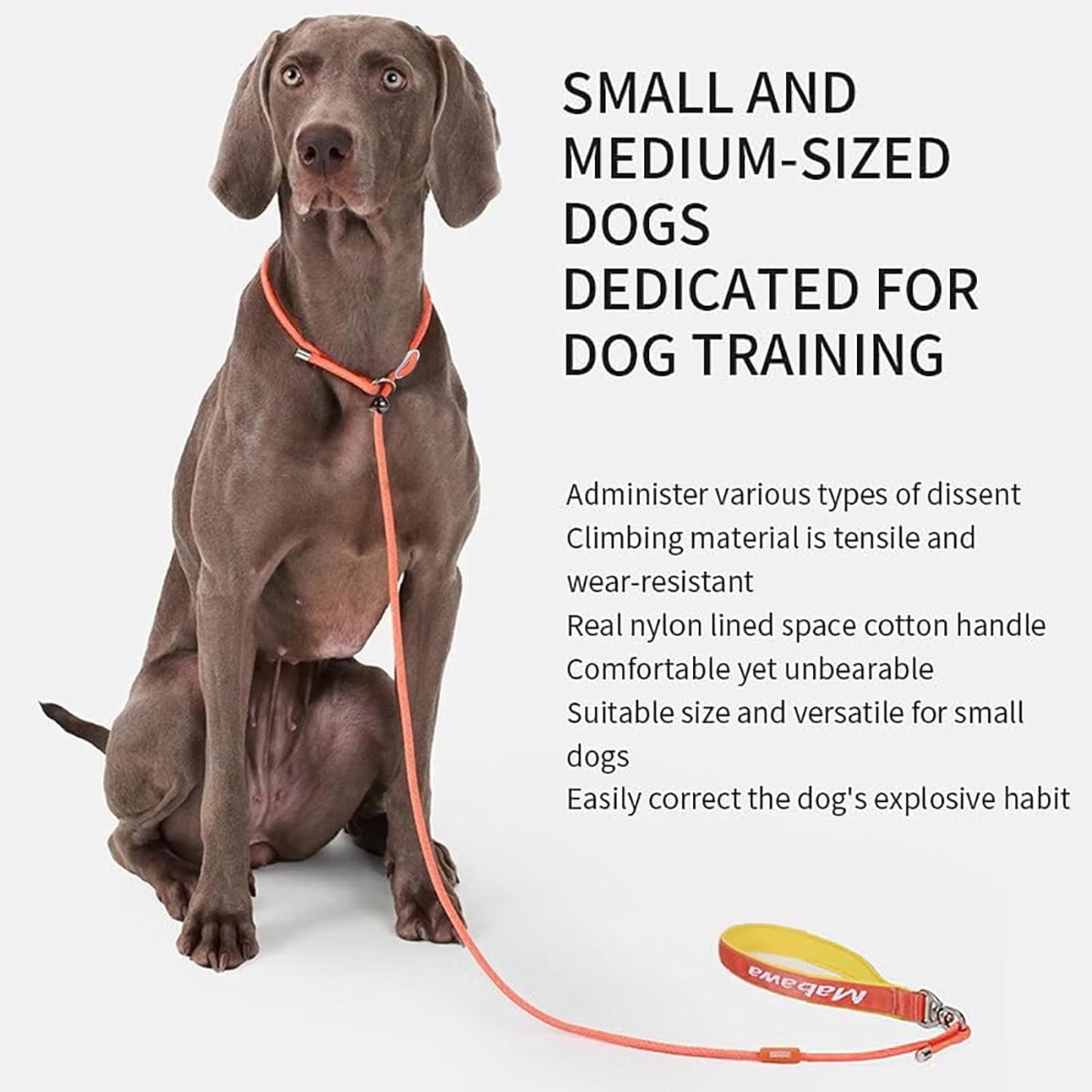 Dog Anti-Slip Leash 5FT with Metal Stopper - Durable No-Pull Training Lead for Small, Medium & Large Dogs - Comfortable Handle Nylon Rope, Tangle-Free Pet Walking Leash (Orange, 5 FT)
