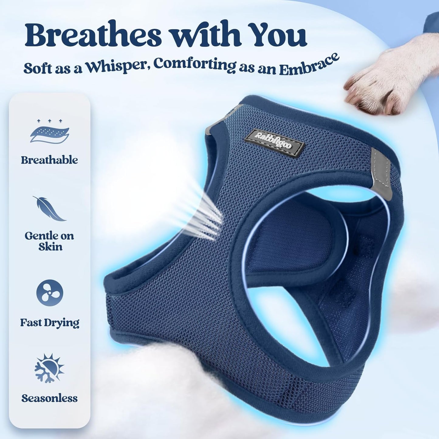 rabbitgoo Dog Harness Small Sized and Leash Set, Step in Soft Light Puppy Vest, Breathable Mesh Pet Harness, Reflective for Outdoor Safe Walking, Navy Blue XL