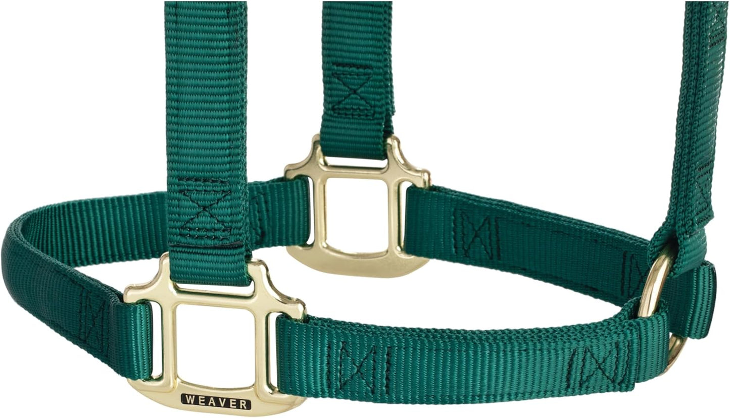 Weaver Equine Nylon Horse Halter, Triple-Ply Cheek Design, Original Non Adjustable Halters for Horses, Equine Tack,Average Size, Black