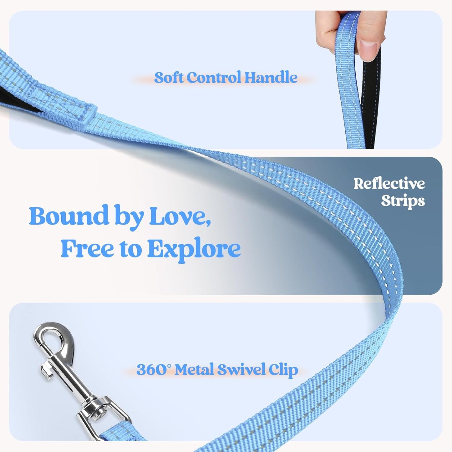 rabbitgoo Dog Harness Small Sized and Leash Set, Step in Soft Light Puppy Vest, Breathable Mesh Pet Harness, Reflective for Safe Easy Walking, Blue & Orange M