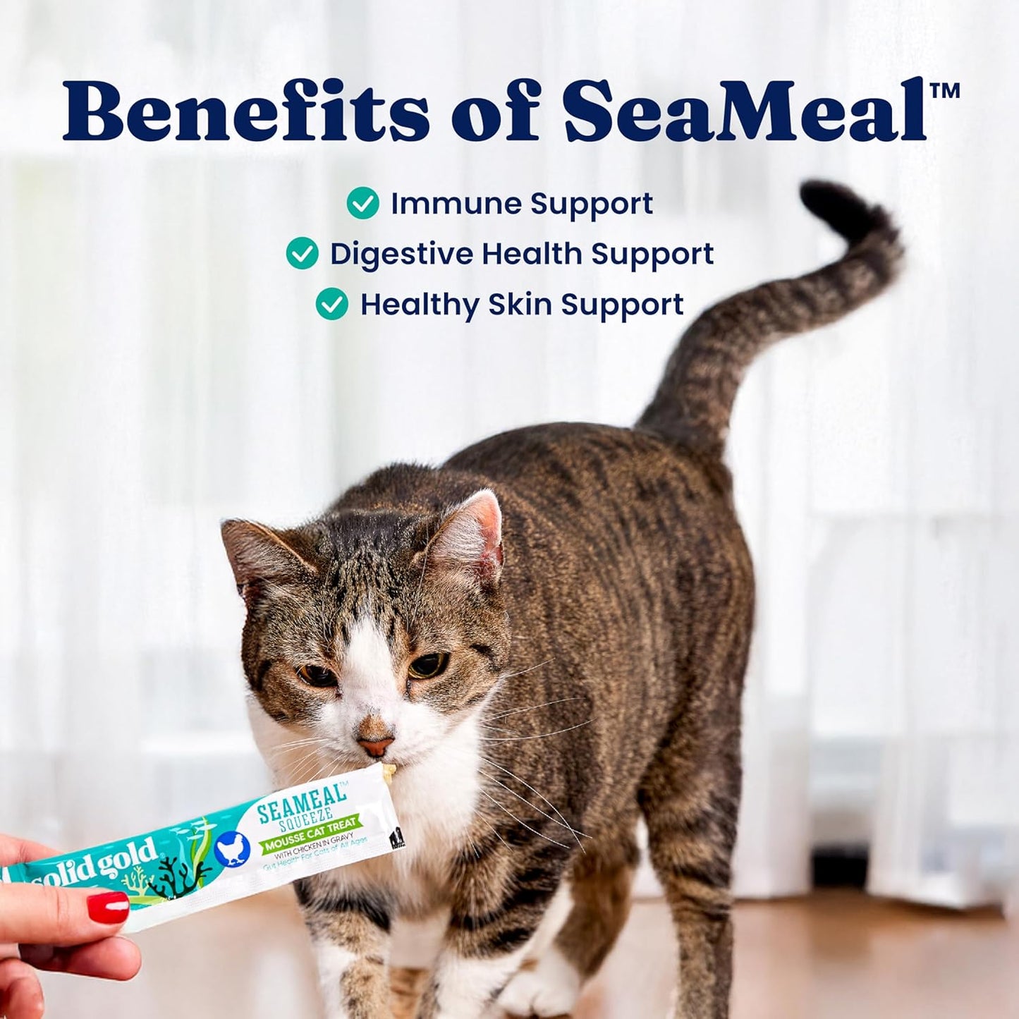 Solid Gold Lickable Cat Treats - Limited Ingredient Chicken SeaMeal™ Squeezable Healthy Cat Treats for Indoor Cats - Snack & Topper Squeeze Ups for Cats w/Seaweed for Gut & Immune Support - 3oz/30ct
