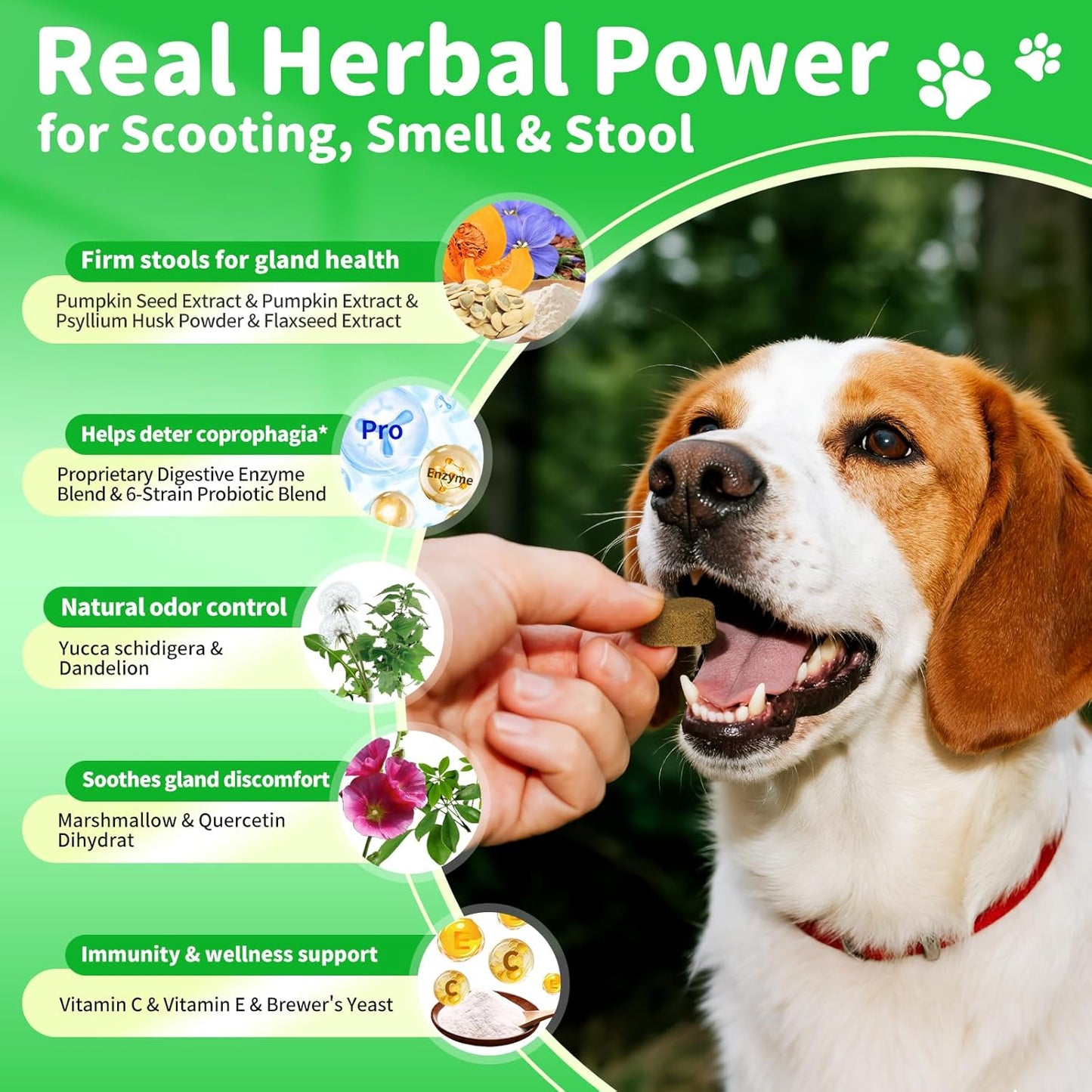 Dog Probiotics & Digestive Enzymes – Pumpkin Fiber Chews for Gut Health, Constipation& Upset Stomach Relief, Gas & Stool Support, Chicken Flavor Soft Chews – 90 Count