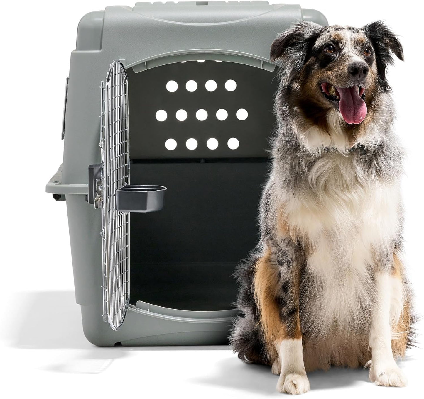 Petmate Sky Kennel - For Air and Travel, Airline Compliant Dog Crate for Pets 50-70 lbs, Heavy Duty Dog Kennel, Made in the USA- 36 Inches