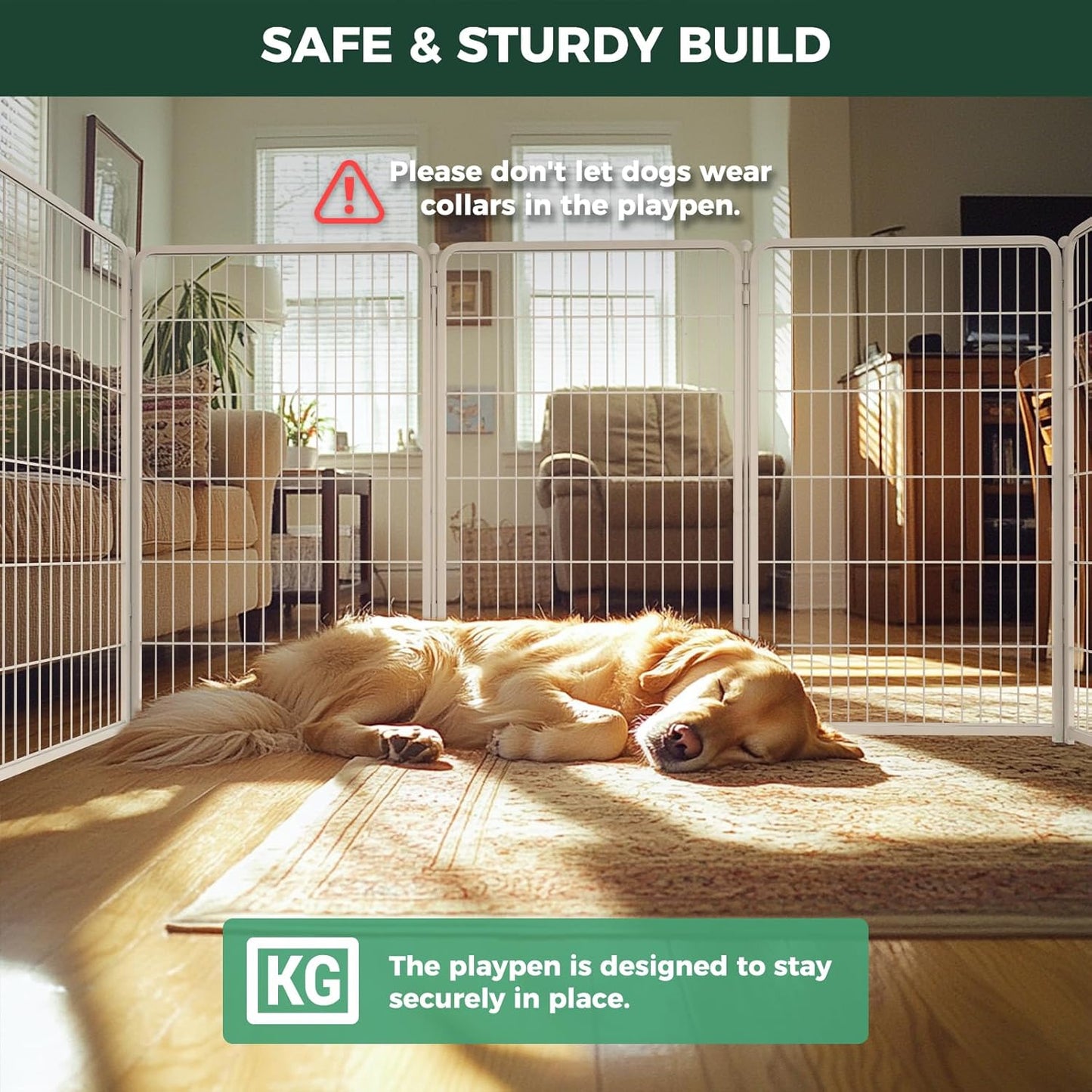 FXW Homeplus Unleashed Indoor Dog Playpen - Stress-Free and Safe Play, Heavy Duty 45 Inch 6 Wire Panels Dog Pen for Large Dogs, White│Patented