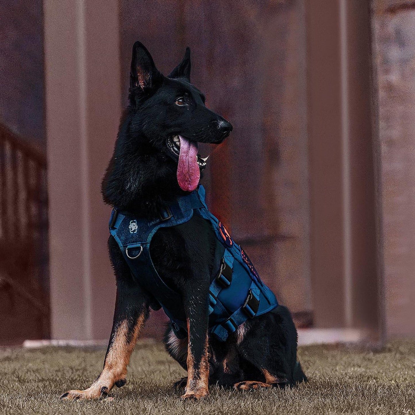 OneTigris Tactical Dog Harness for Small Dogs with Handles, Mesh Design Service Dog Vest Breathable Military Dogs Molle Vests with Handles, Harness for Walking Hiking Training (Blue, XS)