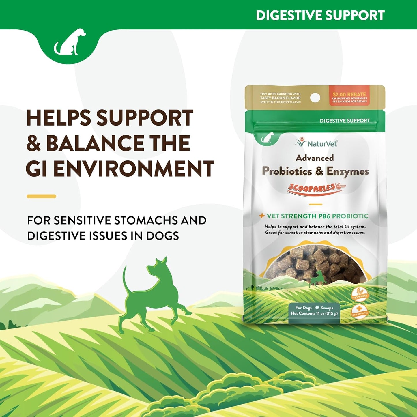 NaturVet Scoopables Advanced Probiotics for Dogs - Chewable Dog Probiotics & Digestive Enzymes - Support a Healthy Gut for Your Pet - Hickory Smoked Bacon Flavor | 11oz Bag