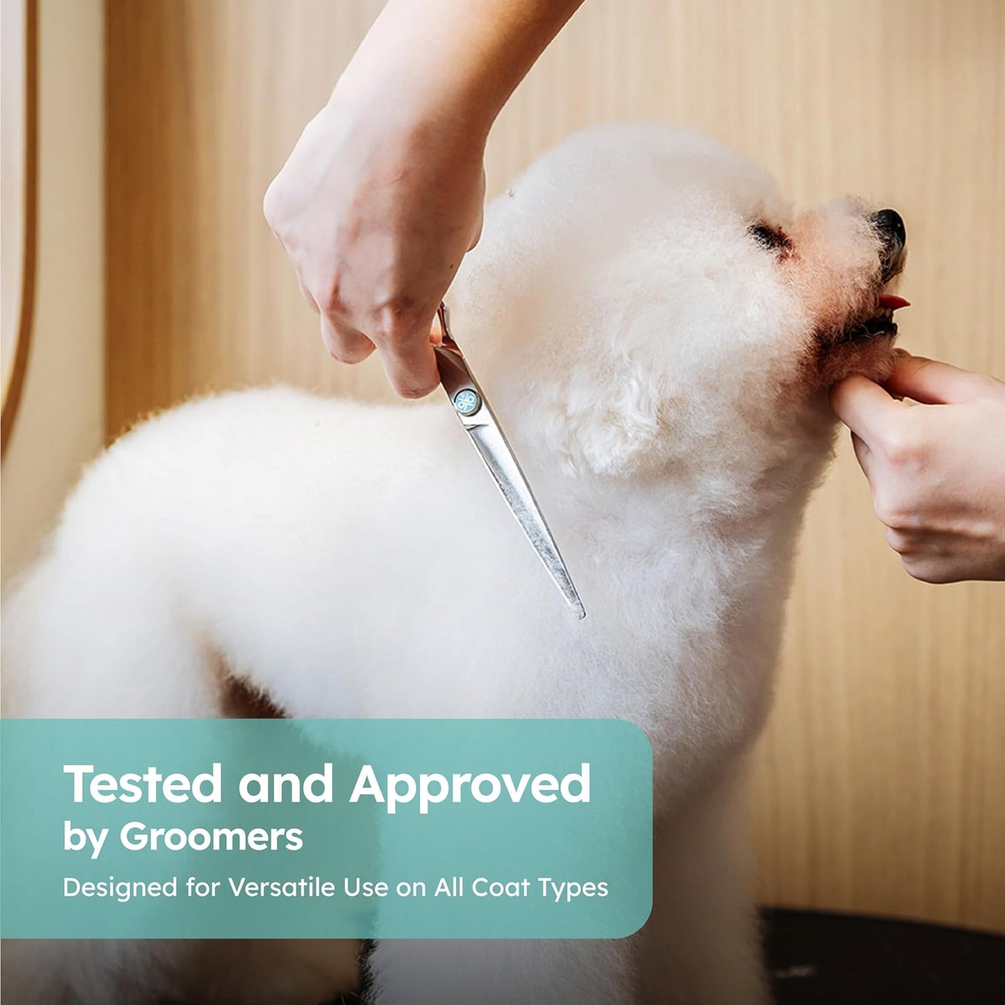 8” Dog Grooming Scissors｜VG10 Japanese Steel Professional Pet Grooming Shears for Cats & Dogs｜Clean Cut & Precise Trimming｜Lightweight Ergonomic Handcrafted Design｜K9 Shears