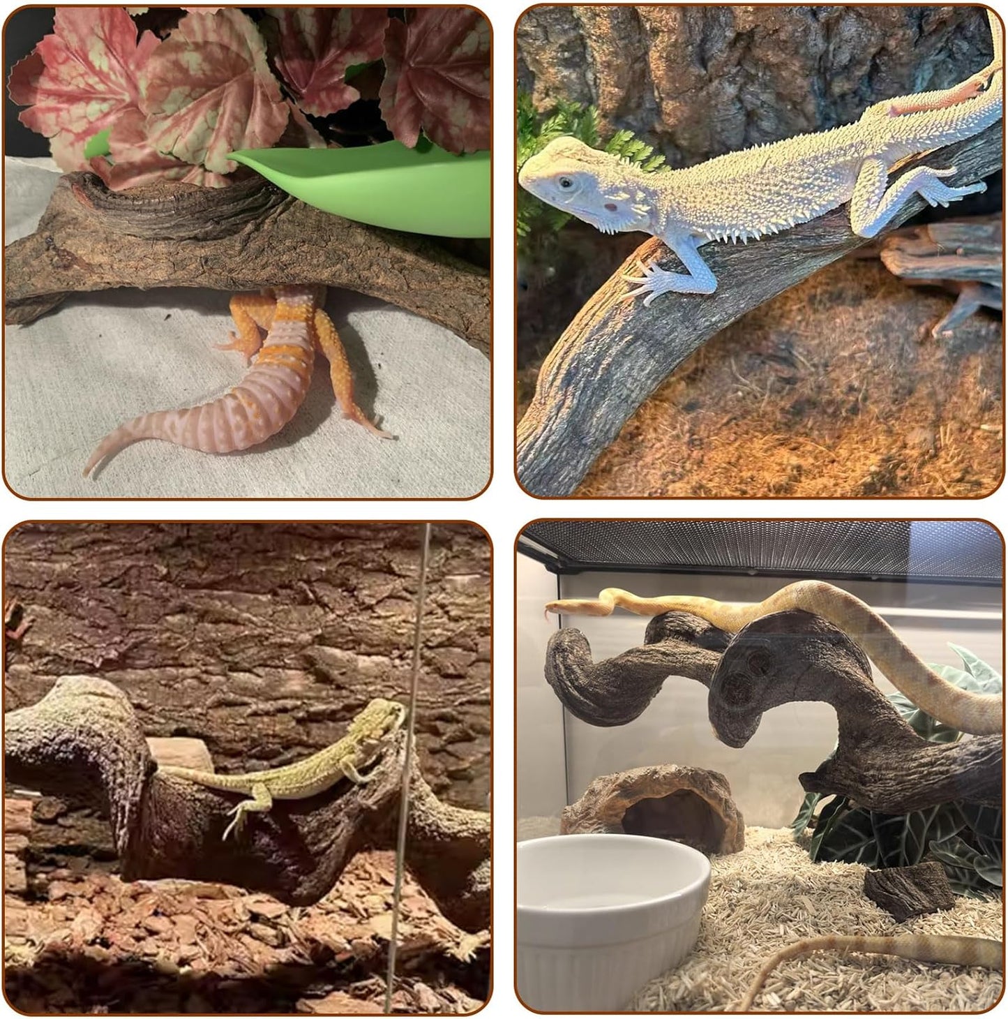 BNOSDM 3Pcs Reptile Climbing Branches Decor,Snake Climbing Branch,Gecko Climb Wood,Lizard Forest Branch,Tank Habitat Tree Trunk Decorations for Bearded Dragons,Chameleons,Spider,Frogs (L)