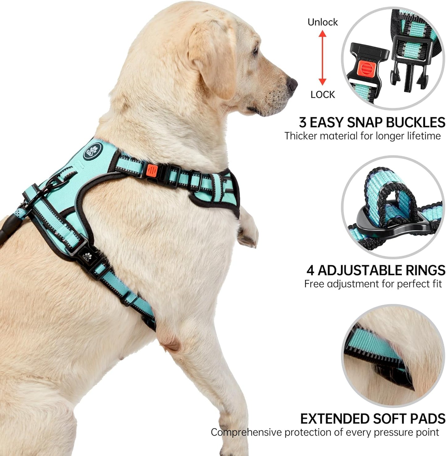 NESTROAD No Pull Dog Harness,Adjustable Oxford Dog Vest Harness with Leash,Reflective No-Choke Pet Harness with Easy Control Soft Handle for Small Dogs(Small,Turquoise)