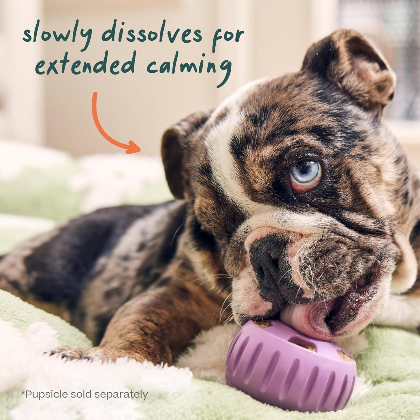 WOOF Calming - Double Pack - Small