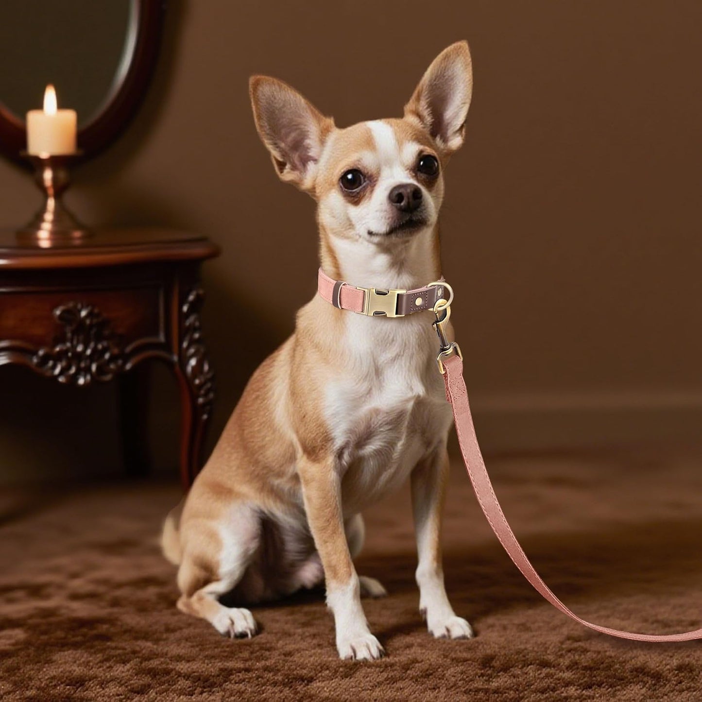 Didog Soft PU Leather Dog Collars for Small Dogs,Classic Adjustable Dog Collars with Quick Release Metal Buckle,Easy Clean and Comfortable with Nylon Lining,Pink,S Neck 10-15"