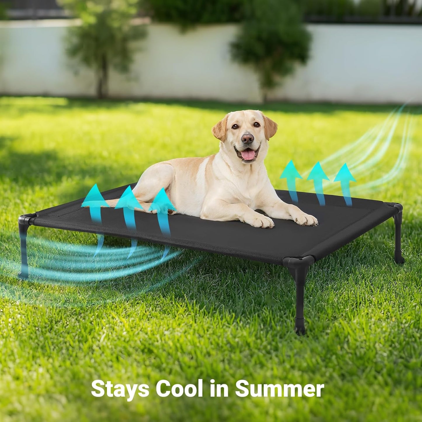 Veehoo Outdoor Elevated Dog Cot Bed, Cooling Raised Pet Bed for Large Dogs, Washable Breathable Mesh Hammock Bed with No-Slip Feet, Indestructible Ground Off Training Platform Cot-42"x30" Grey