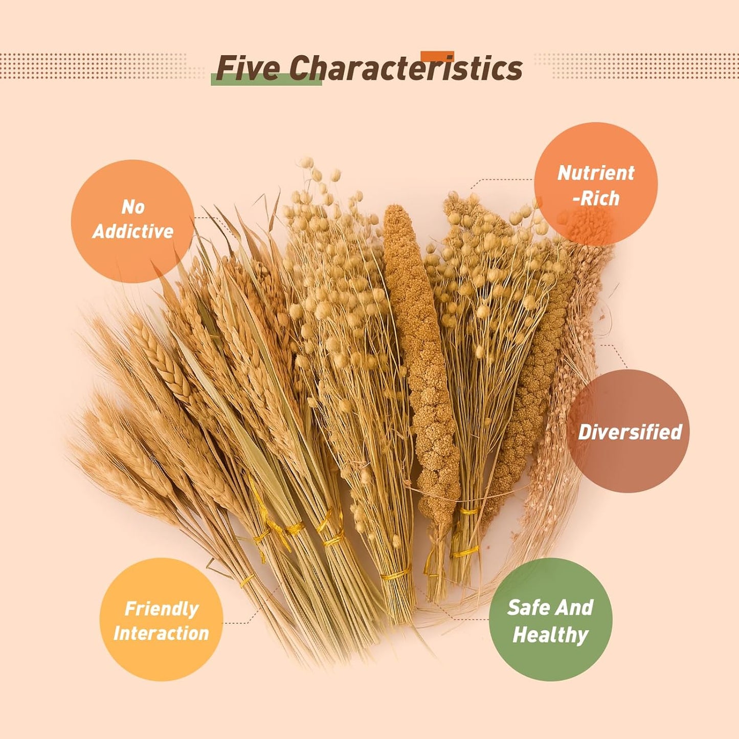 ZIPPYPET Hamster Sprays and Forage Accessories for Cages, Pet Mouse Decor Textures (5)