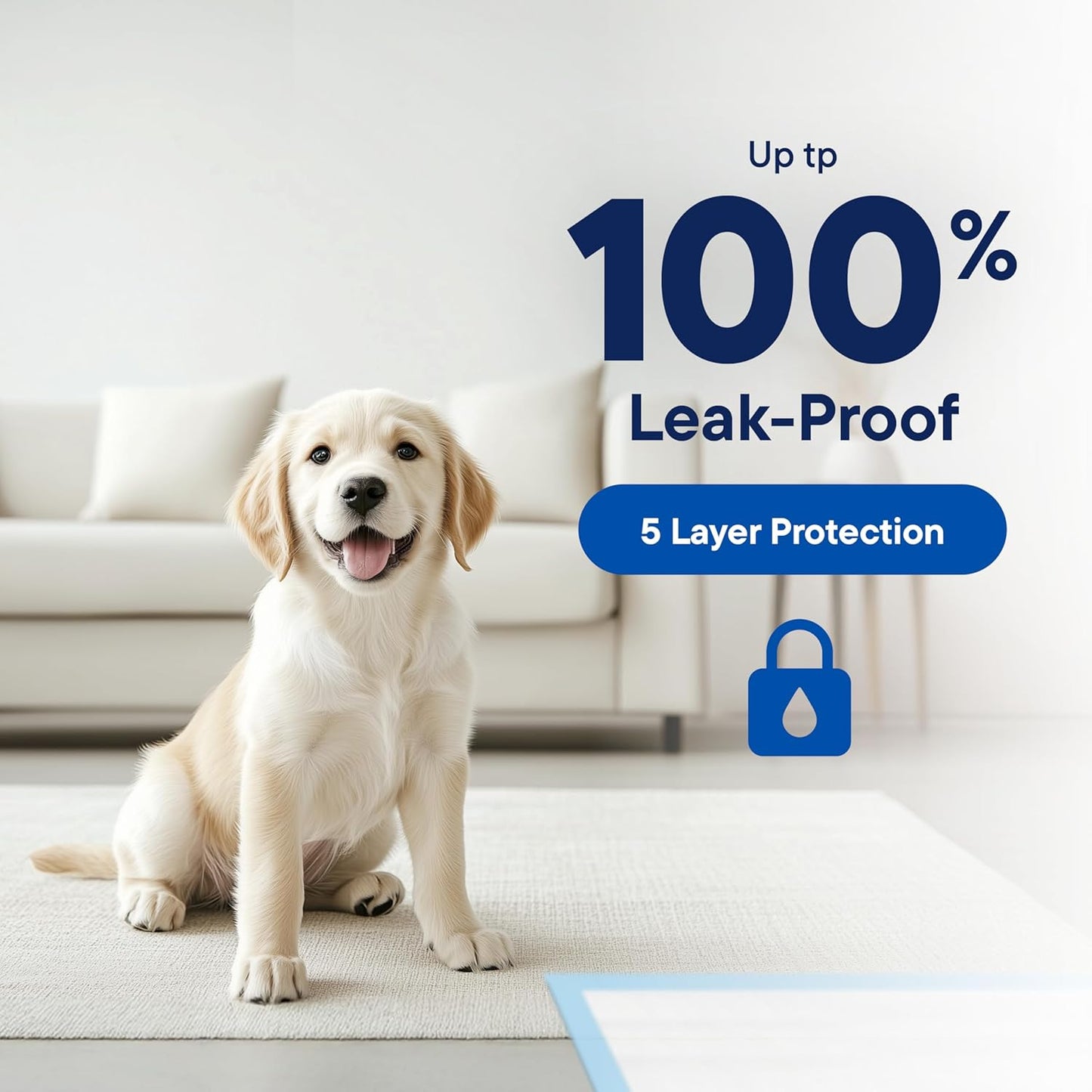 Puppy Pads Pet Pee Pads 22" x 22" [300-Count] Pet Training Disposable Pads, Compact Breed Pad, Leak-Proof, Bulk Case Pack - for Dachshunds, Shih Tzus, Pomeranians, Heavy Duty Surface Protector