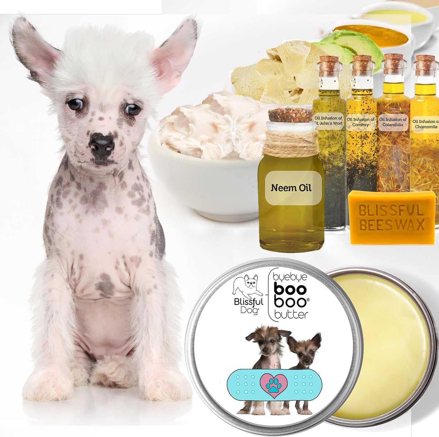 The Blissful Dog Chinese Crested Boo Butter, 4 oz