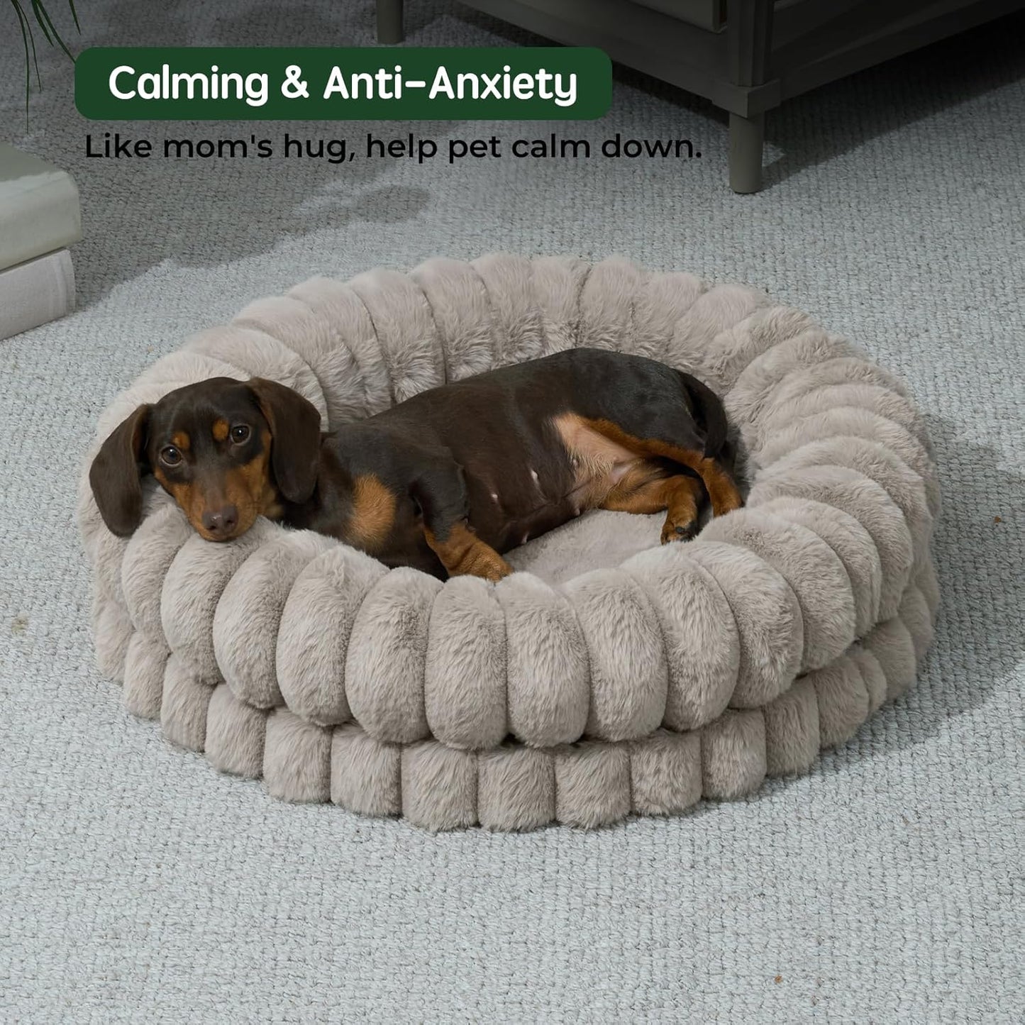 BALANCE Luxury Donut Dog Bed, 23 Inches Round Dog Beds for Small Dogs Washable, Orthopedic Calming Pet Bed for Puppy and Cats with Anti-Slip Bottom, Oatmeal
