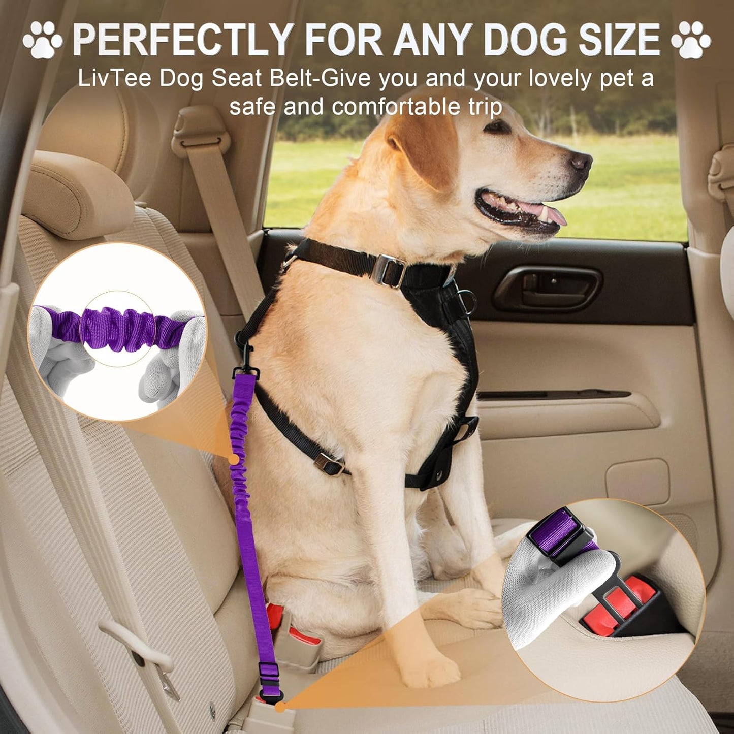 LivTee Dog Seat Belt for Car, Retractable Pet Safety Harness, Adjustable Nylon Dog Seatbelt Leash, Comfortable Dog Accessories for Vehicles (Purple-2PCS)