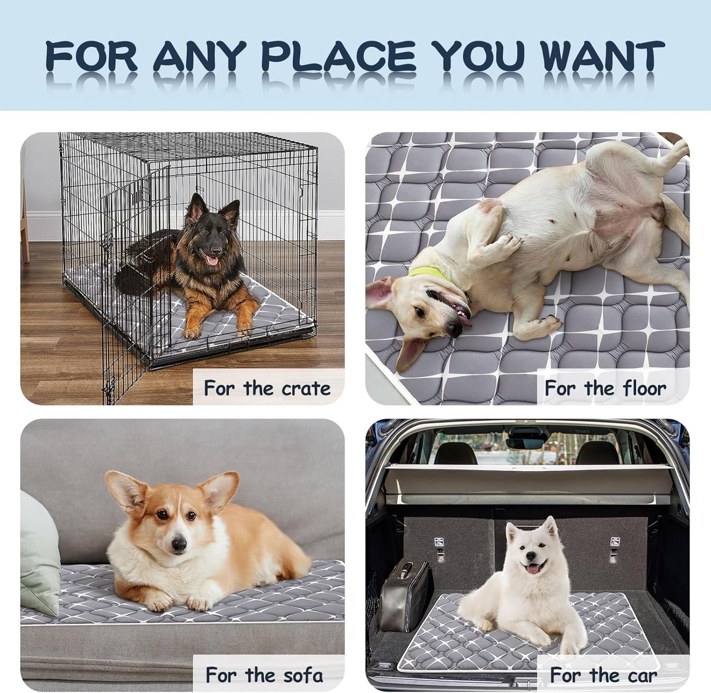 Bubble bear Dog Crate Mat - Ultra Soft, Washable & Anti-Slip Kennel Pad for Small/Medium/Large Dogs, Dark-Hued to Hide Stains (59"x35")