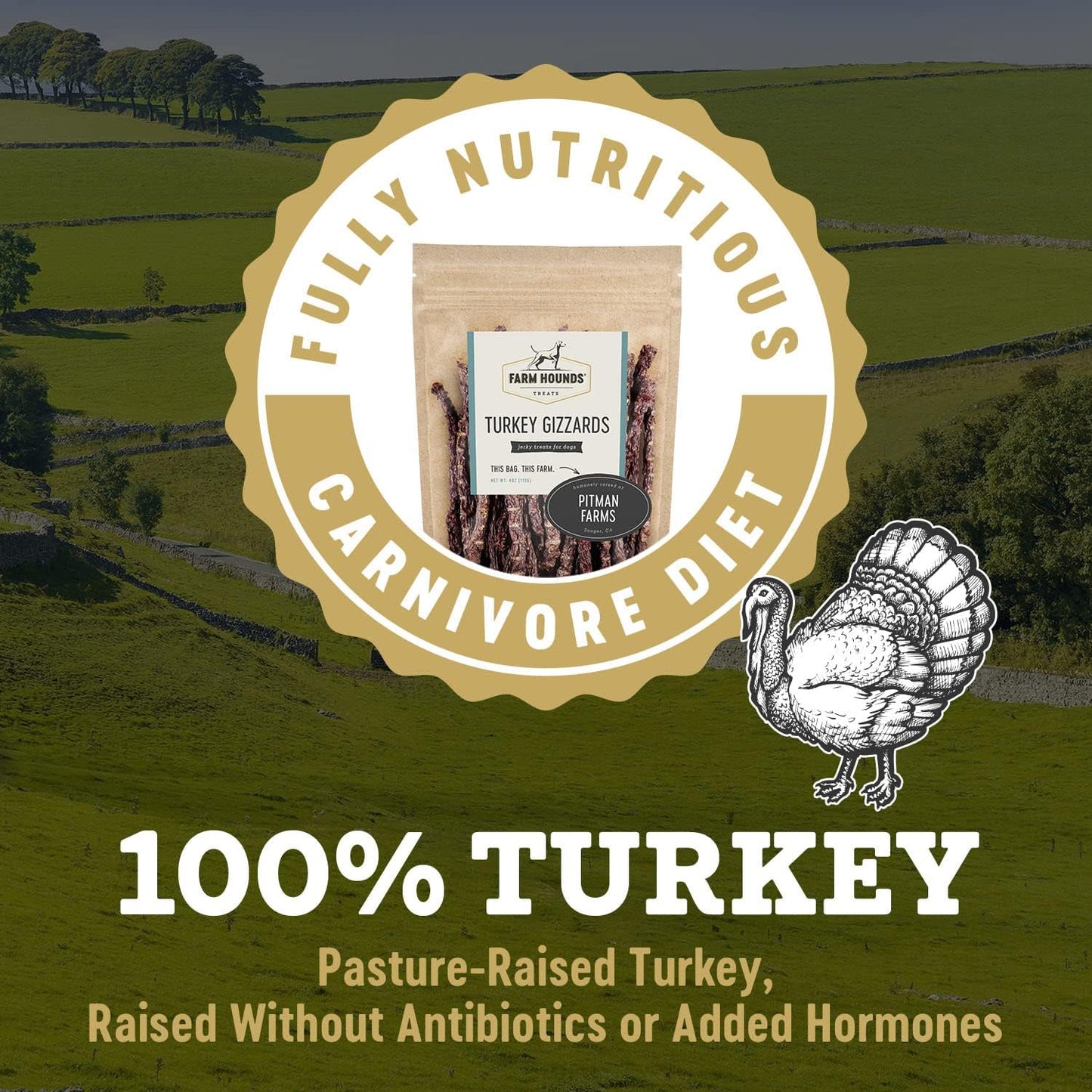 Farm Hounds - Turkey Gizzards - Premium Natural Jerky for Dogs - 100% Humanely Raised Turkey - Break-to-Size - Great for Training & Treats - No Added Fillers - Made in USA - 4oz - 1 Pack