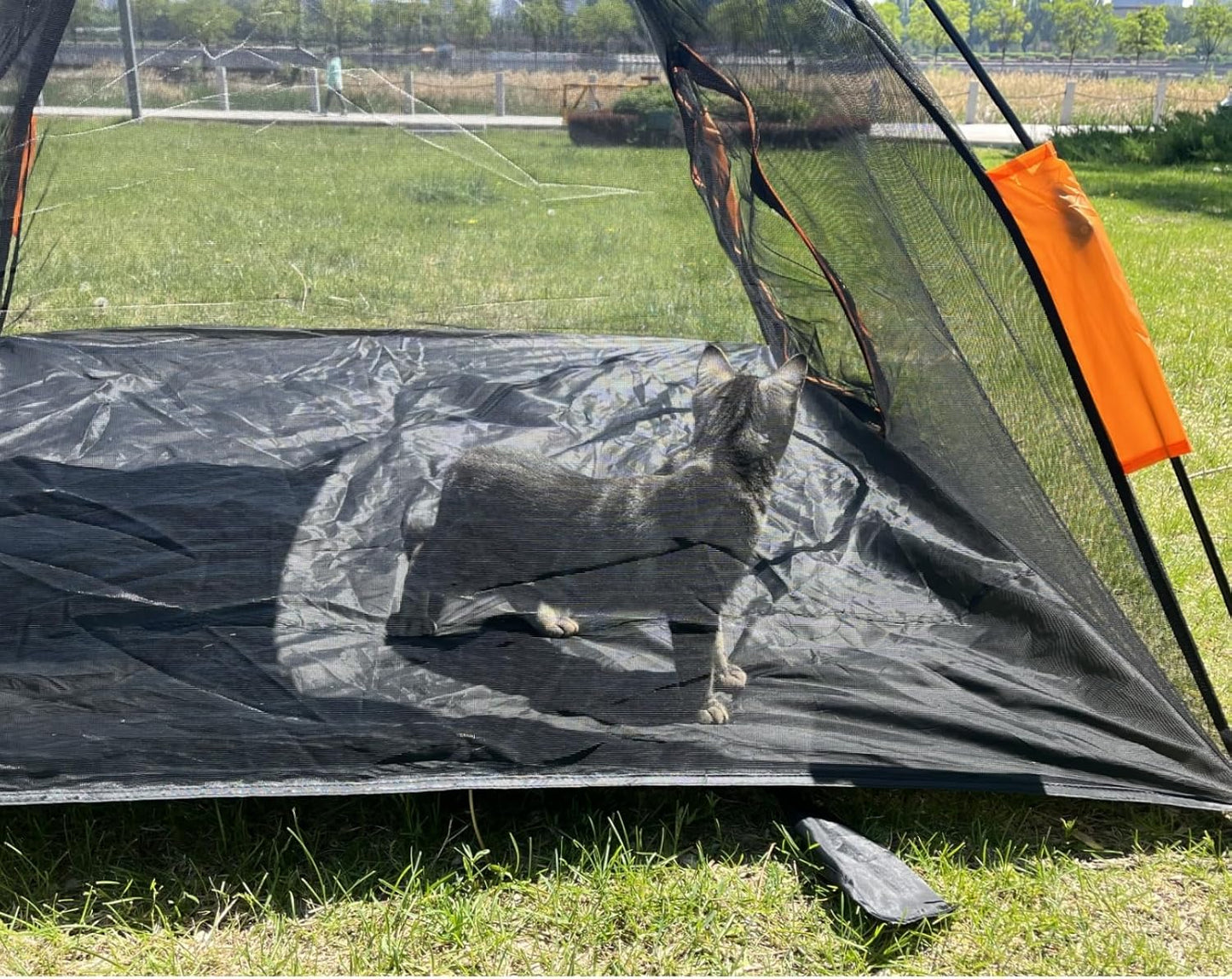 Catio Outdoor Cat Enclosures for Indoor Cats, 6-in-1 Outside Large Playground Include Portable Cat Tent, for Cats and Other Pets