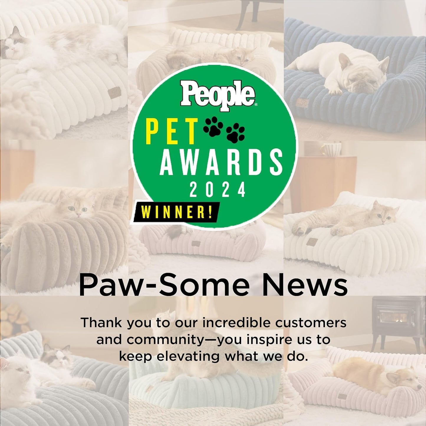 Bedsure Cute Couch for Pets - Fluffy Pet Sofa with Premium Soft Corduroy Fleece, Fuzzy Cat Beds for Indoor Cat with Removable Washable Cover, Supportive Pet Chair, 24inch, Cream