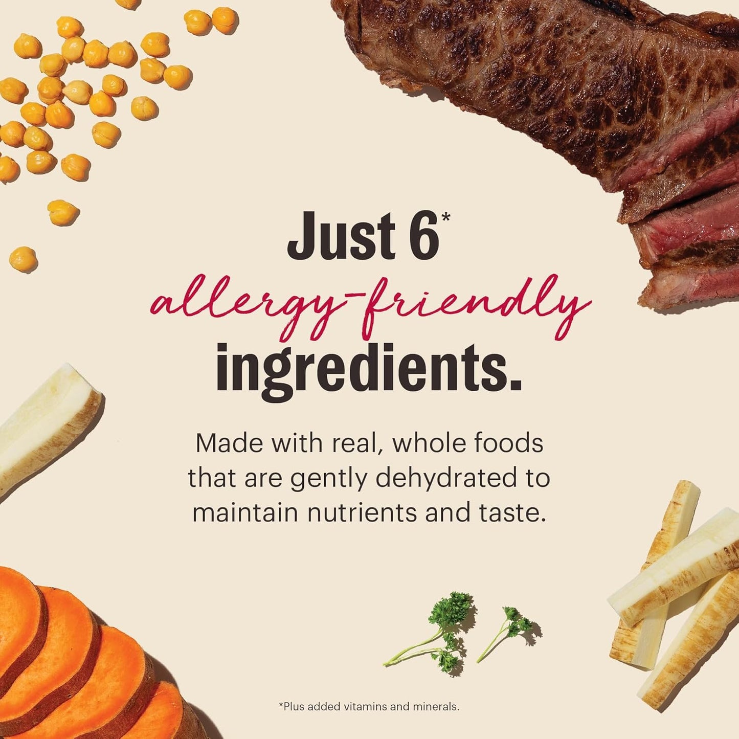 The Honest Kitchen Dehydrated Limited Ingredient Beef Dog Food, 4 lb Box