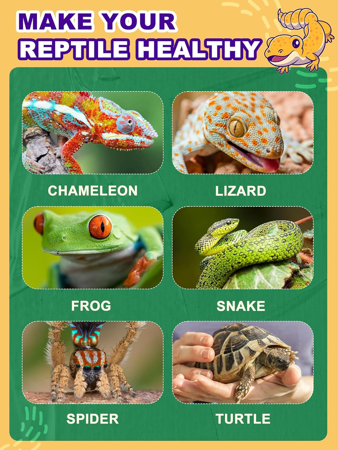 Heat Lamp Bulb, 80 Watt Pack of 2 Full Spectrum UVA UVB Reptile Heat Bulb, Basking Spot Light, Simulate Natural Sun Light for Reptile and Amphibian (Pack of 2)