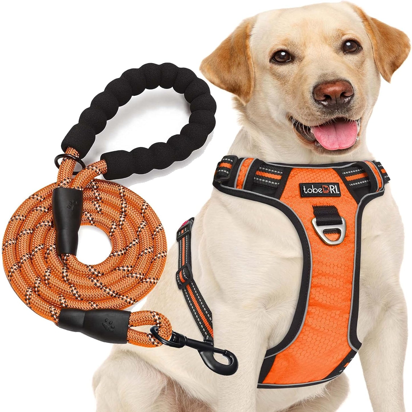 No Pull Dog Harness Adjustable Reflective Oxford Easy Control Medium Large Dog Harness with A Free Heavy Duty 5ft Dog Leash (M (Chest: 22"-26"), Orange Harness+Leash)