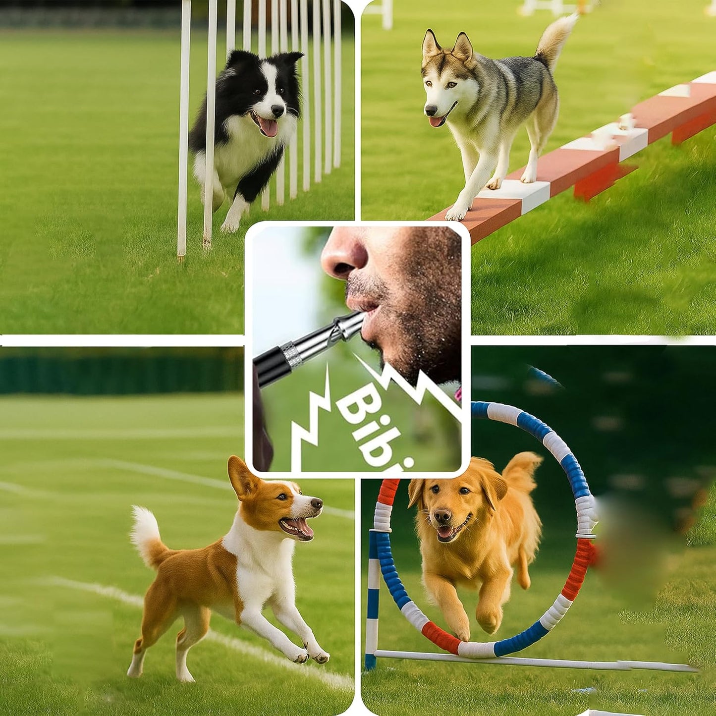 Ami's Delight Dog Whistle Set of 5 | 2PCS Premium Quality Adjustable Dog Whistles with 2 Black Lanyards and a Dog Clicker | Ultrasonic Dog Whistle to Stop Barking Neighbors Dog