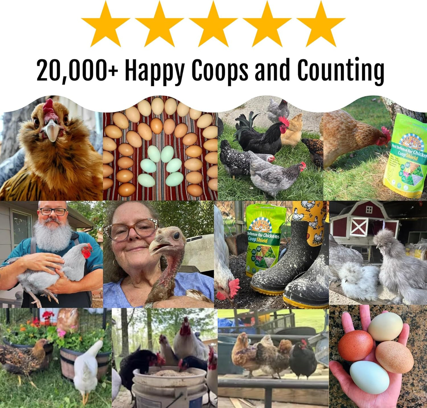 Dust Bath Herb Blend for Chickens - Keep Feathers Clean & Healthy - Food Grade, Natural Nesting Box Herbs for Bedding, Coop Floor, USA (12 oz)