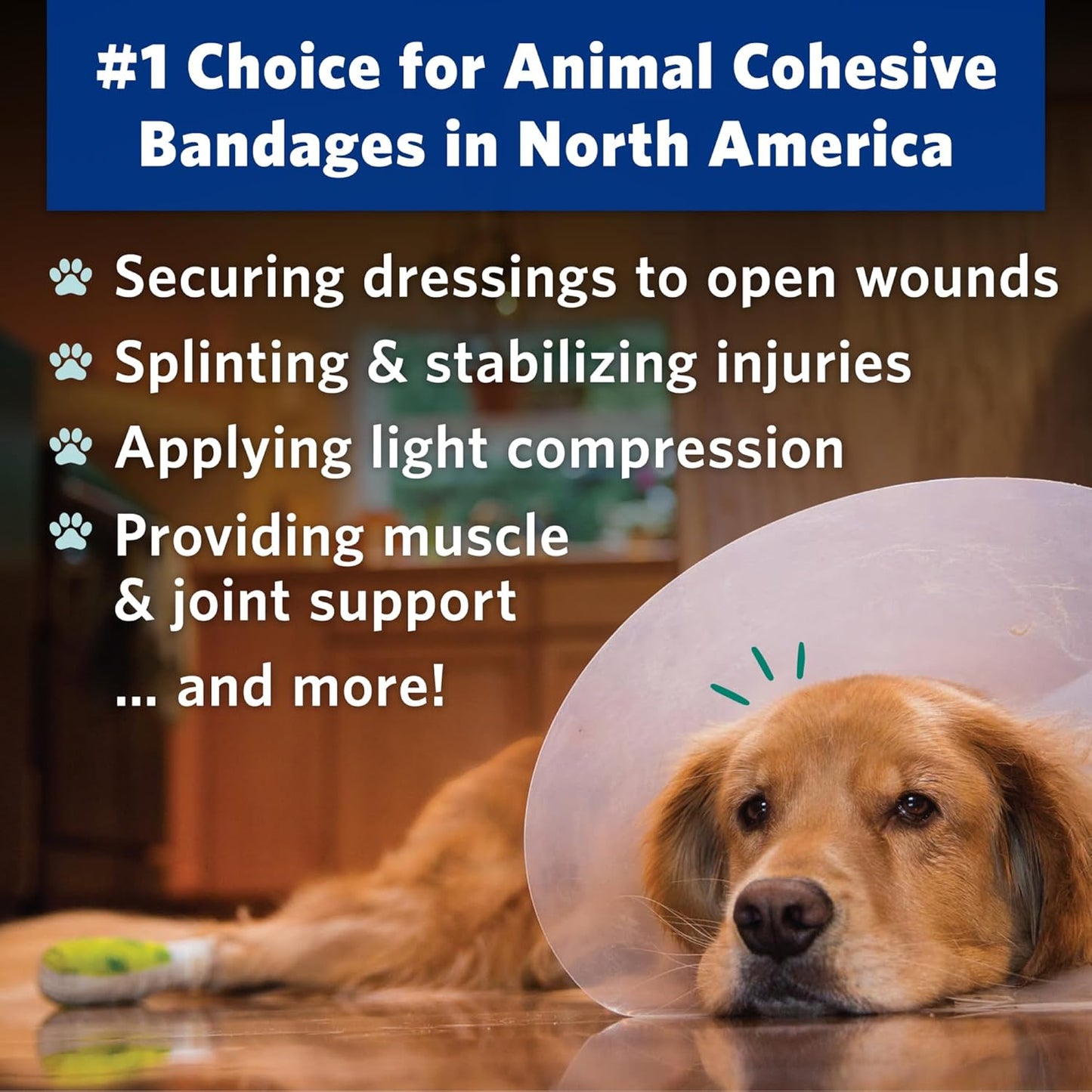 PetFlex Paw Pack – Flexible Self-Adhering Elastic Bandage for Wound Care – First Aid Wrap for Small Animals Like Dogs, Cats, and Other Pets - 2 inch, 2 Rolls