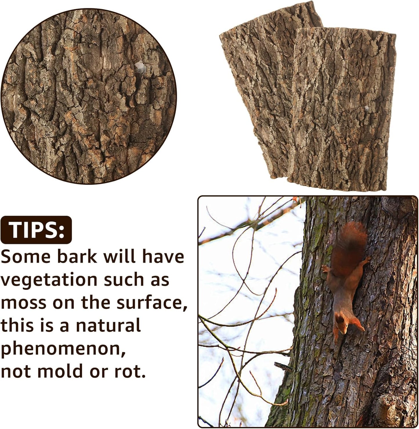 RHBLME 6 Pack Cork Bark for Reptiles, 11.8" L x 7.8" W Cork Bark for Terrarium, Reptile Tank Background Terrarium Backdrop Wall Decor Natural Reptile Climbing Mat