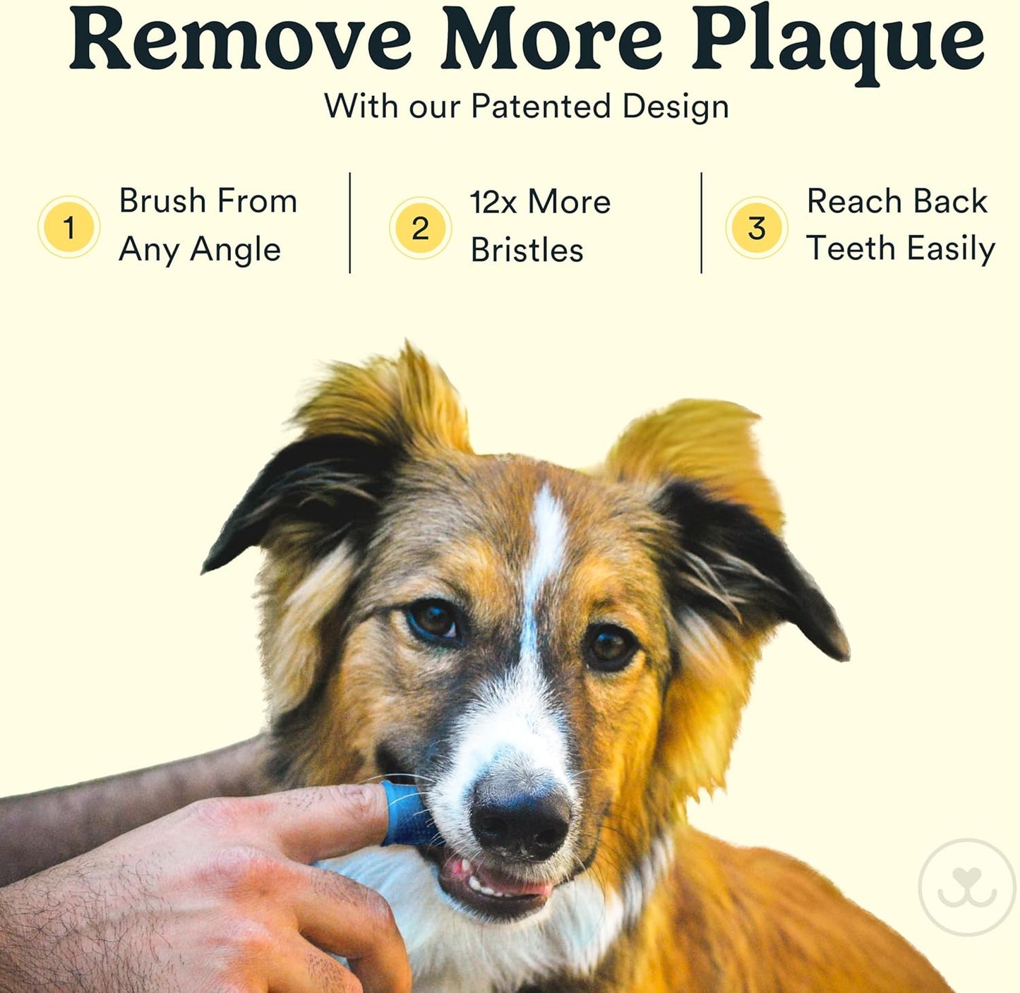 Jasper Dog Toothbrush, 360 Degree Pet Tooth Brushing Kit, Cat Toothbrush, Canine Dental Care & Teeth Cleaning Kit, Pet Finger Tooth Brush, Use with Dog Toothpaste, 4-Pack Neon