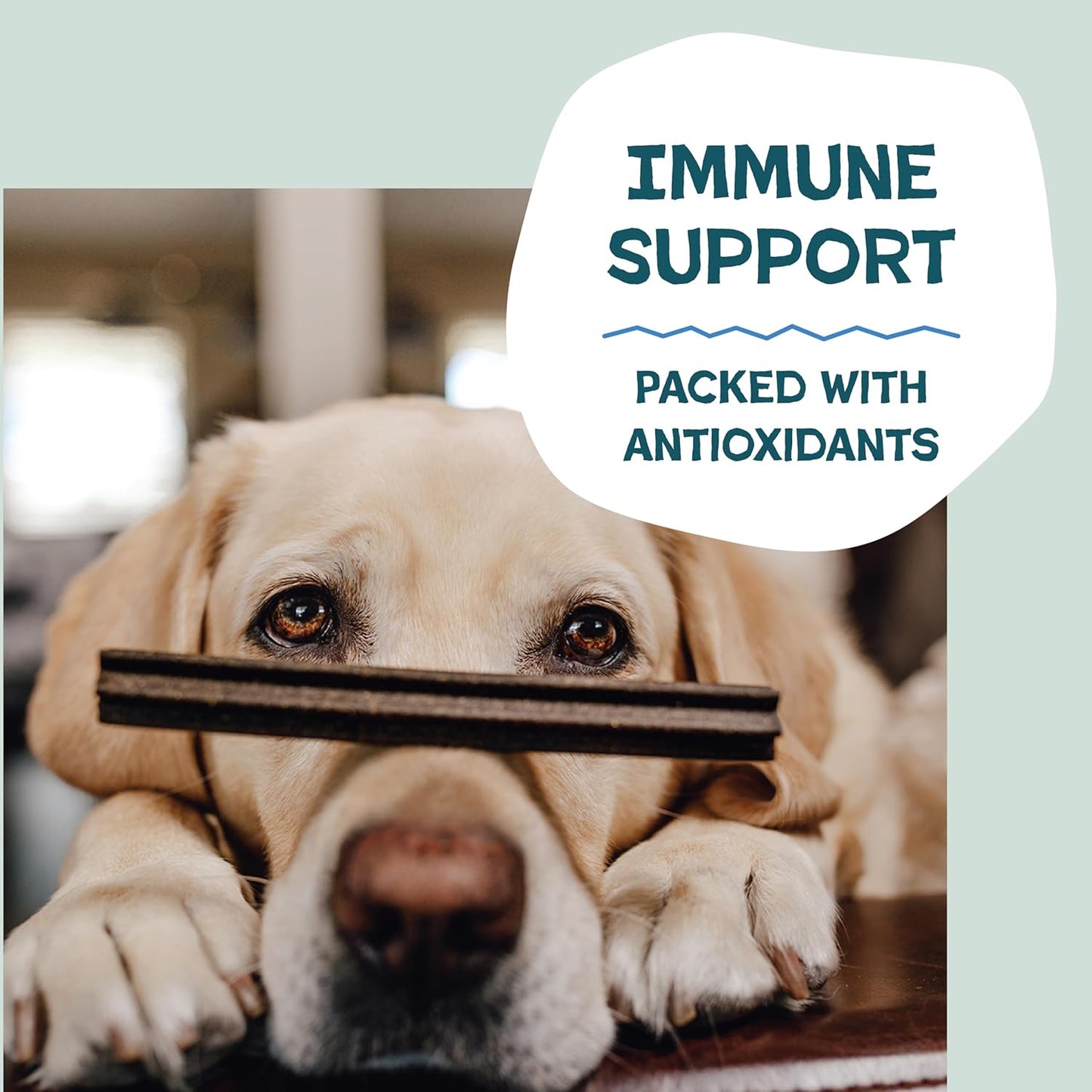 Shameless Pets Toothberry Dental Chews for Dogs – Natural Dog Dental Sticks for Fresh Breath, Teeth Cleaning & Removes Tartar, Grain-Free Dog Treats, No Corn or Soy, 32 Sticks