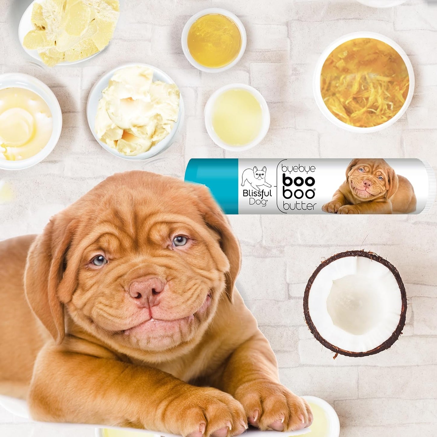 The Blissful Dog .15 oz Tube Dogue De Bordeaux Booboo Butter