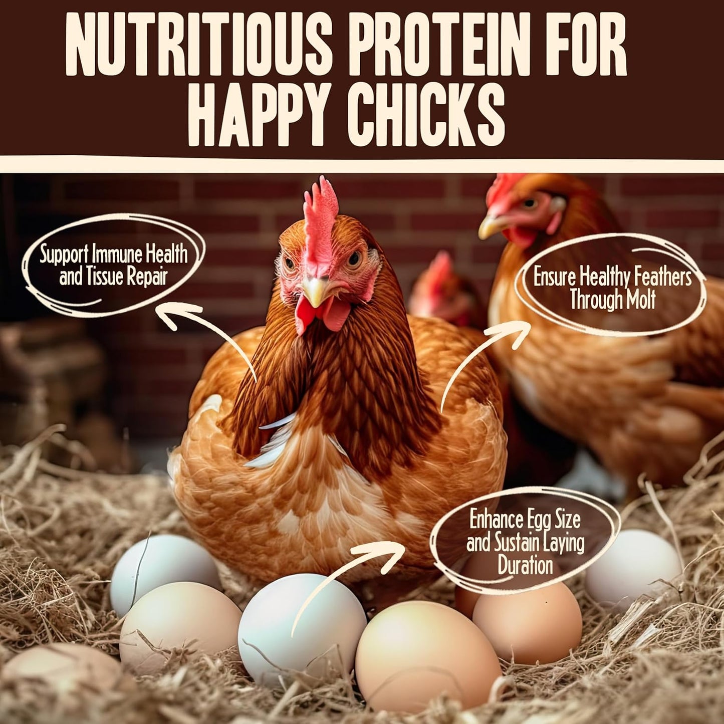 Dried Mealworms for Chickens, Birds, Hamster, Reptile and Turtle - Premium Non-GMO Treats with 55% Protein for Laying Hens - Organic Food for Wild Bird, Bluebirds, Robins, Cardinals. 5 Lb