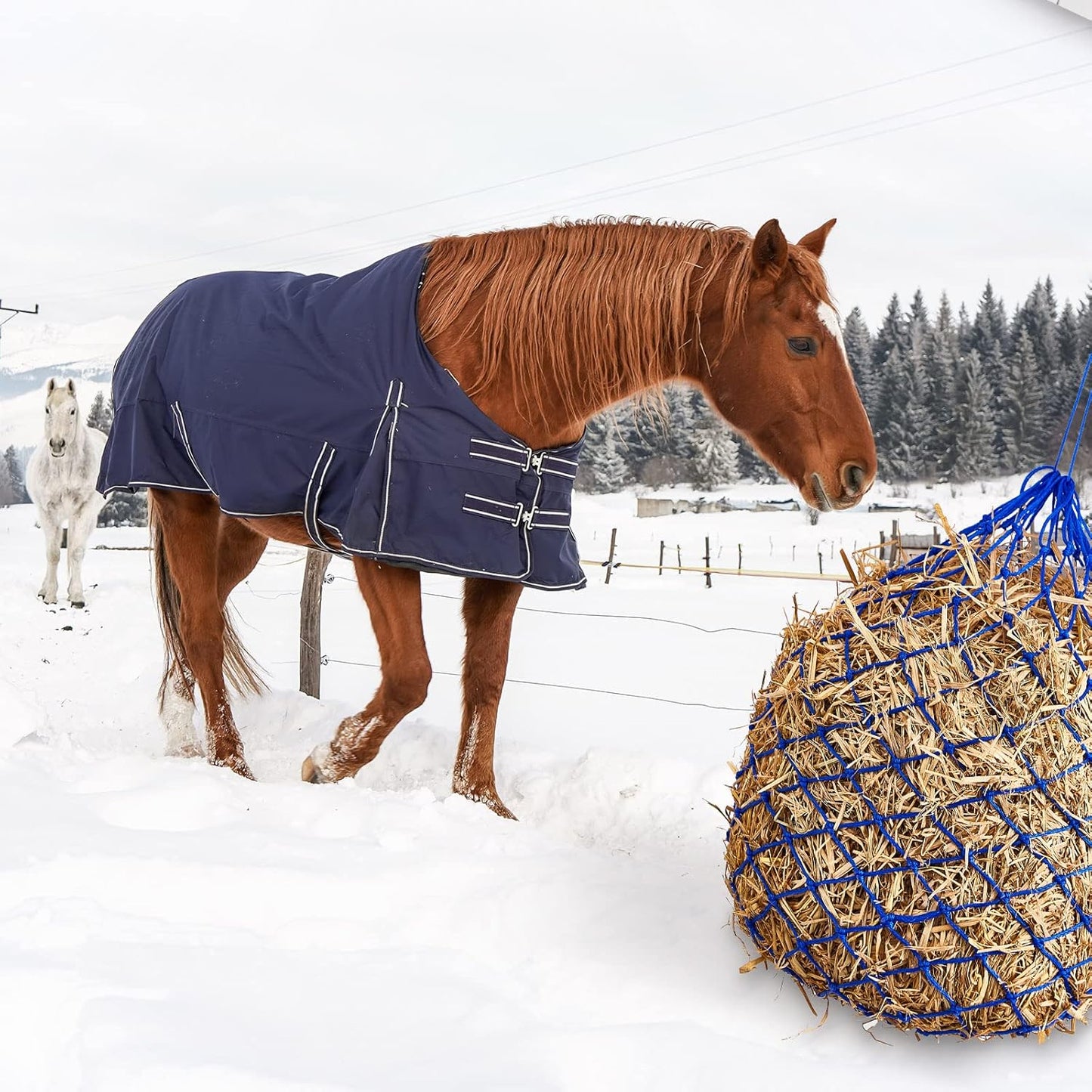 Fabbay 4 Pcs Slow Feed Hay Net Feeder Hay Bag for Horses Slow Feeder 40 Inch Length with 2 Inch Holes Hanging Horse Feed Net for Goat Cattle Equine Stalls Barn Supplies(Blue)