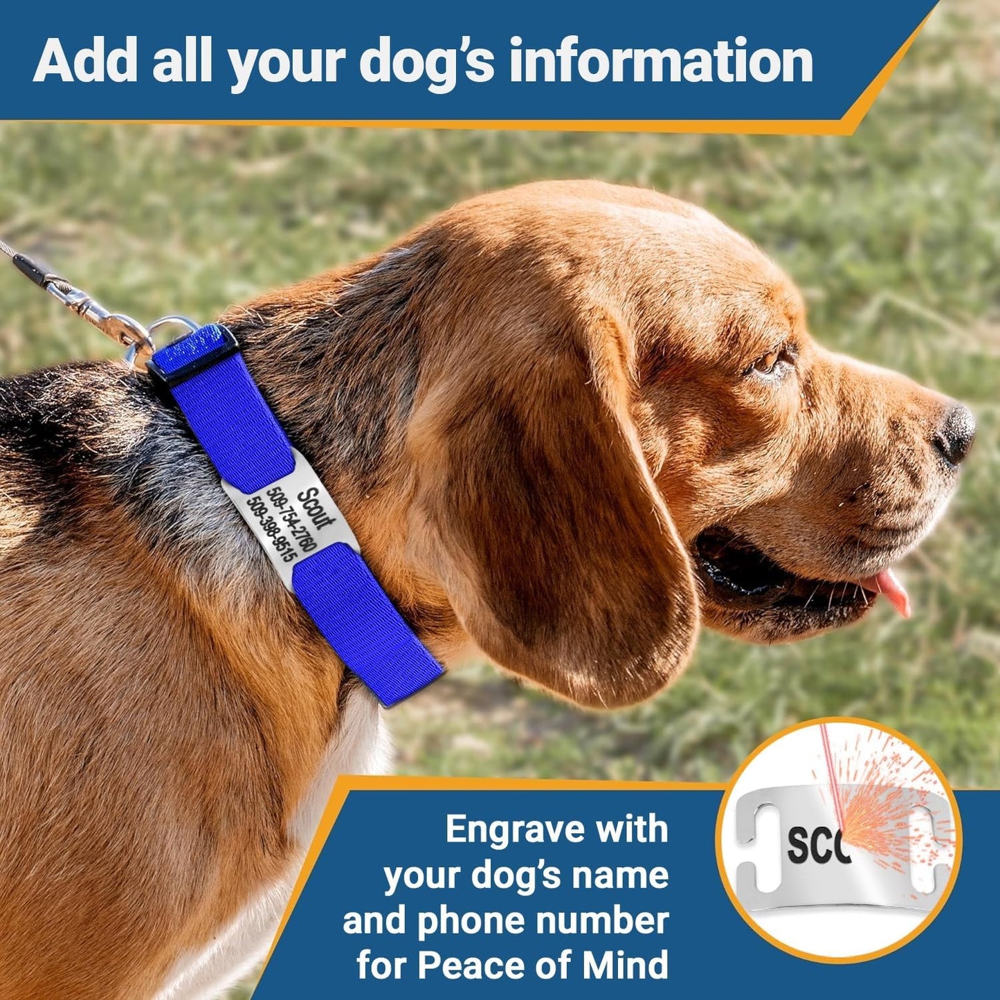 GoTags Personalized Dog Collar with Nameplate, Adjustable Dog Collar with Custom Engraved Slide On Pet ID Tag in Stainless Steel, Silent, No Noise Dog Tag (Charcoal, Medium)